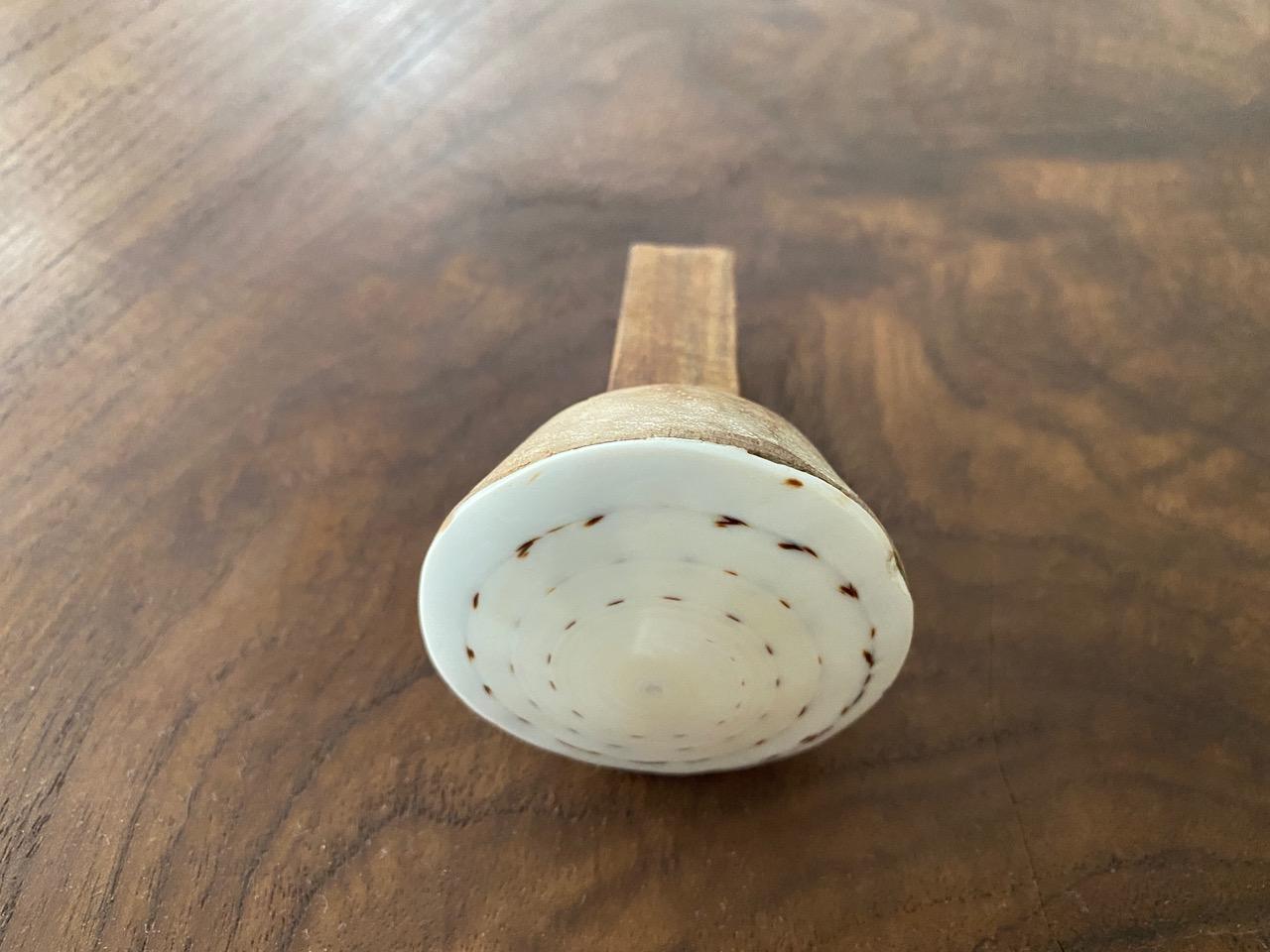 Andrianna Shamaris Shell and Teak Wood Door Knob 7