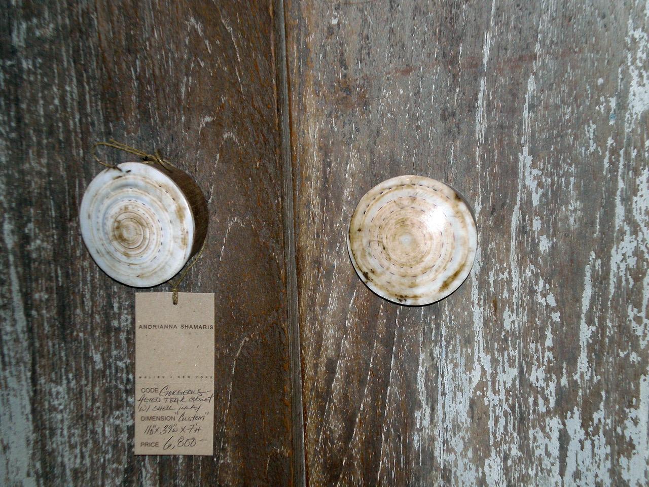 Andrianna Shamaris Shell and Teak Wood Door Knob For Sale 8