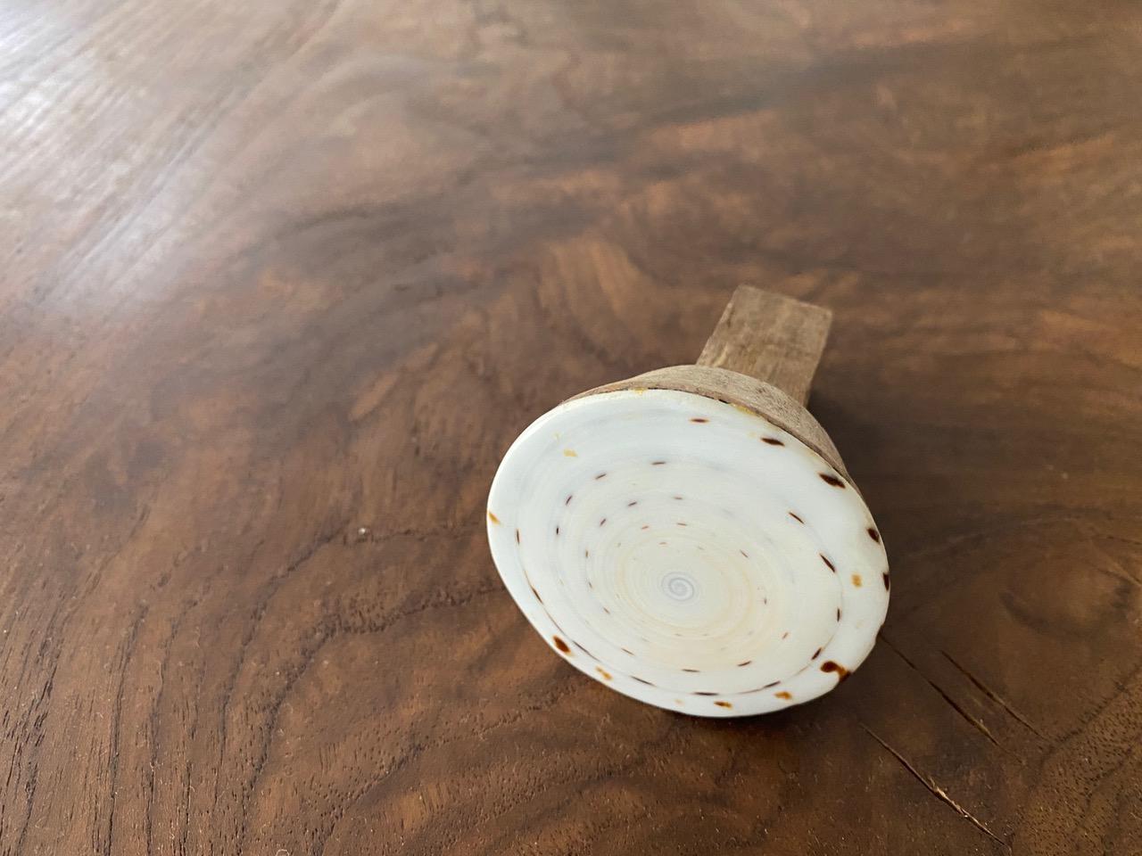 Andrianna Shamaris Shell and Teak Wood Door Knob 1