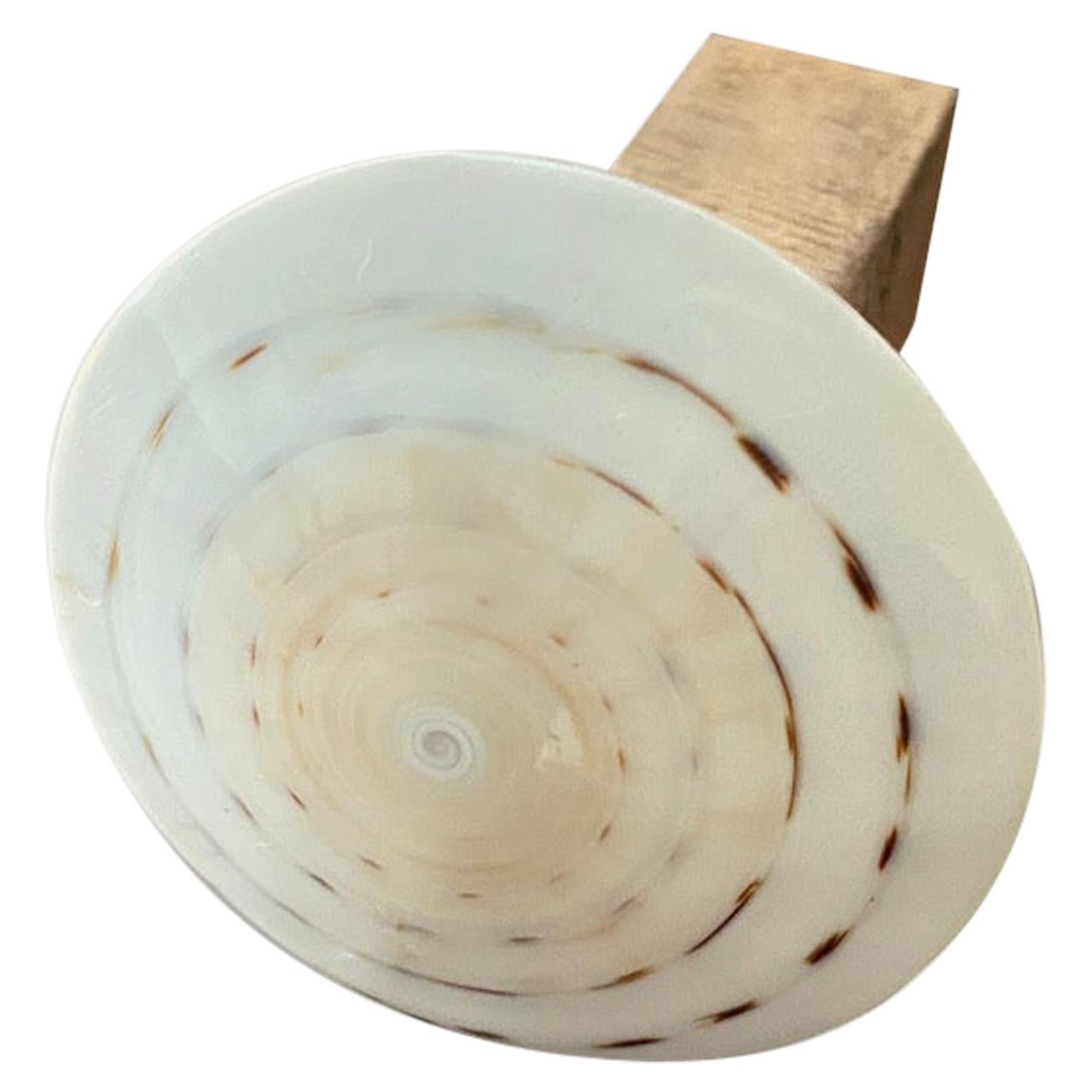 Andrianna Shamaris Shell and Teak Wood Door Knob