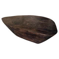 Andrianna Shamaris Table basse simple en bois de teck minimaliste charbonné
