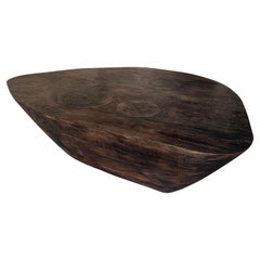 Andrianna Shamaris Single Charred Minimalist Teak Wood Coffee Table