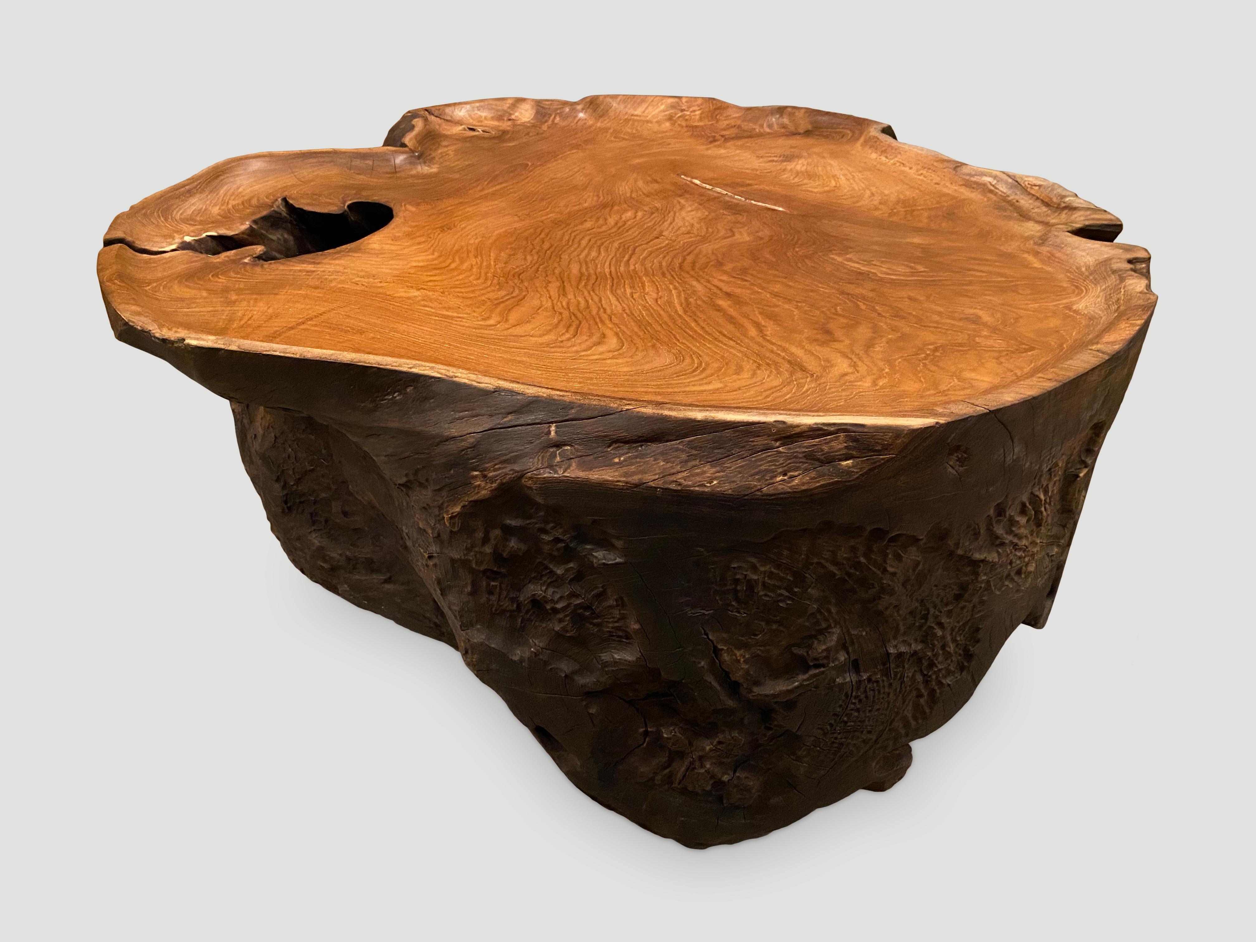 Contemporary Andrianna Shamaris Single Charred Teak Wood Coffee Table For Sale