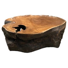 Andrianna Shamaris Single Charred Teak Wood Coffee Table