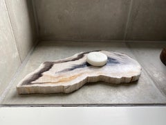 Andrianna Shamaris Single Petrified Wood Slab