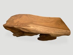 Andrianna Shamaris Single Root Live Edge Coffee Table
