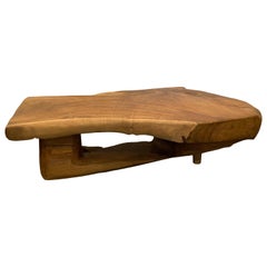 Andrianna Shamaris Single Root Live Edge Coffee Table