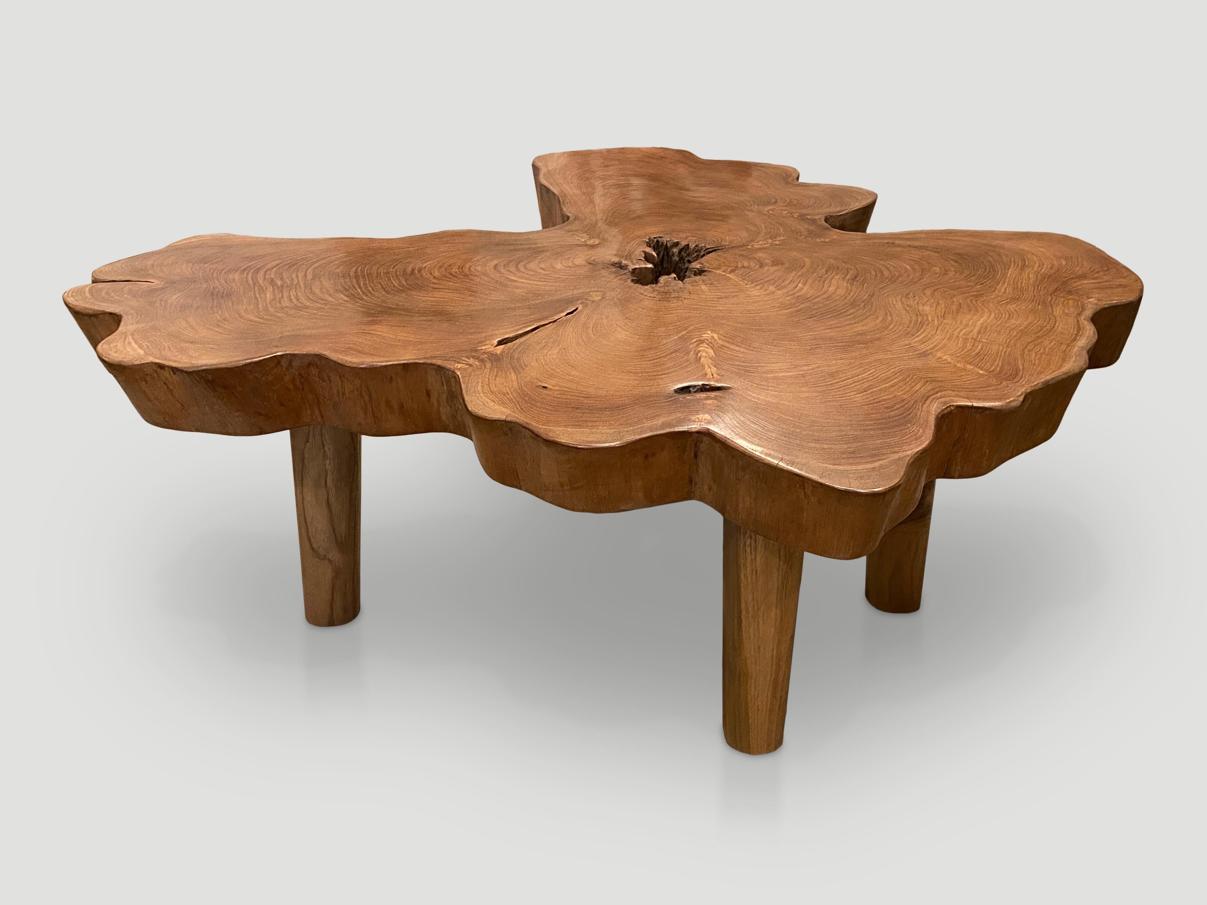 Impressive three inch single slab live edge teak coffee table. This beautiful butterfly shape is set on minimalist legs. Finished with a natural oil revealing the beautiful wood grain.

Own an Andrianna Shamaris original.

Andrianna Shamaris.