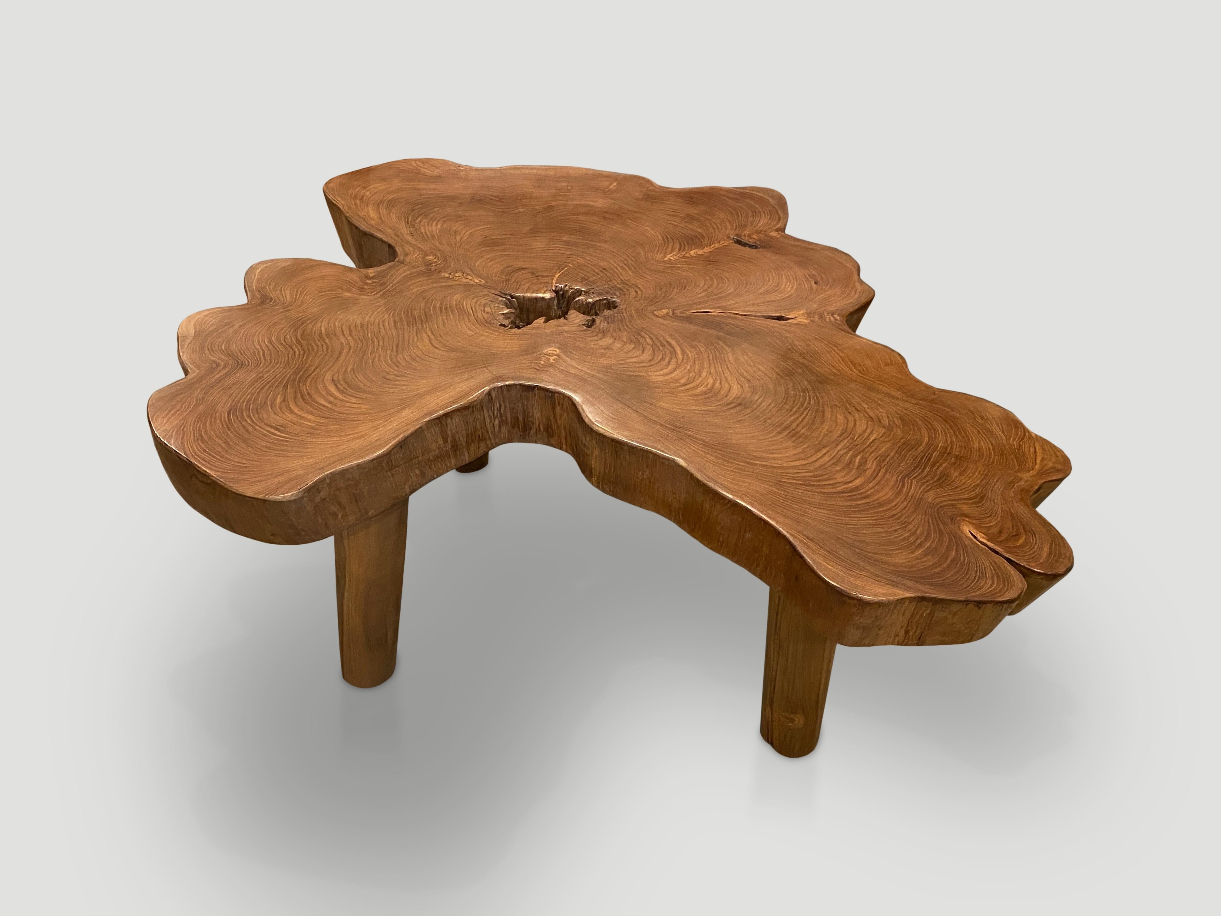 Andrianna Shamaris Single Slab Live Edge Coffee Table In Excellent Condition In New York, NY