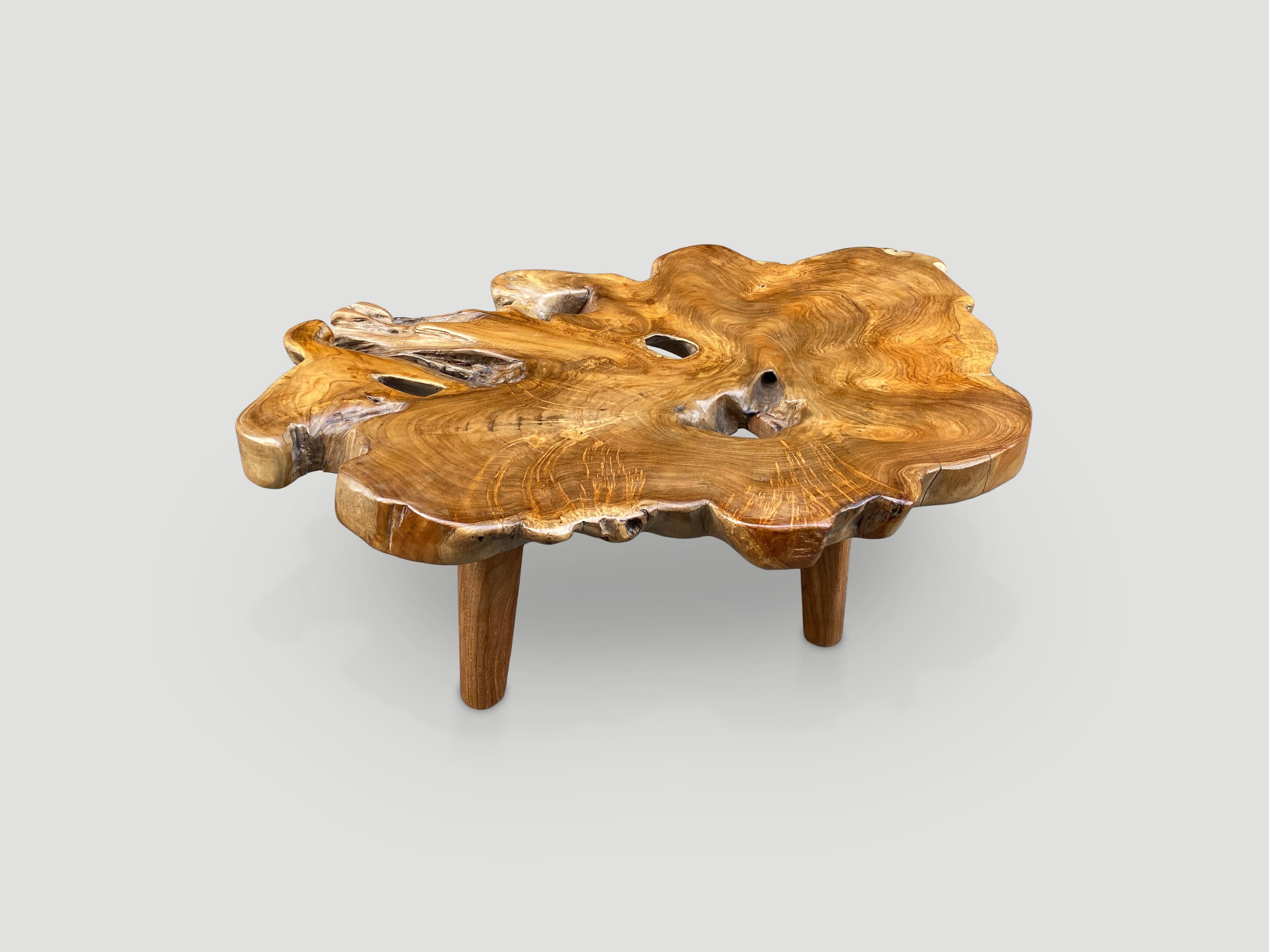Andrianna Shamaris Single Slab Live Edge Coffee Table In Excellent Condition For Sale In New York, NY
