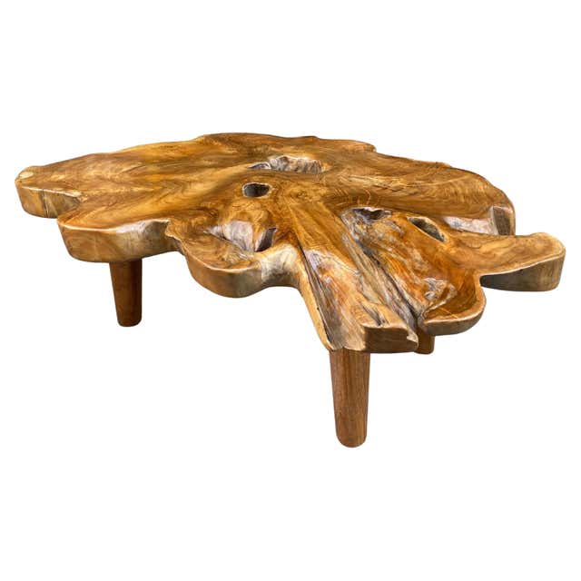 Andrianna Shamaris Live Edge Coffee Table in Suar Wood, Modern Design ...