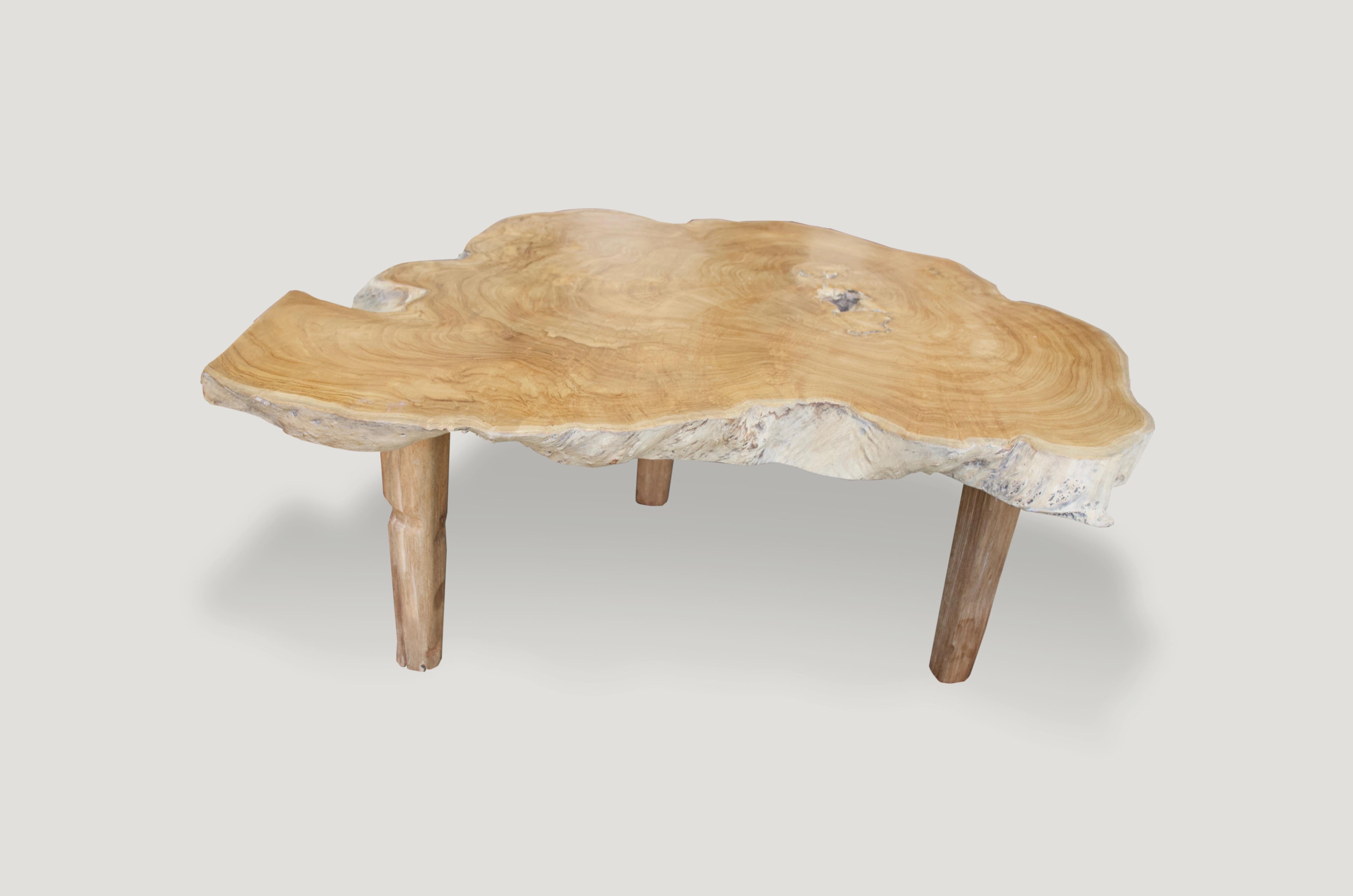 Andrianna Shamaris Single Slab Live Edge Coffee Table or Side Table In Excellent Condition For Sale In New York, NY