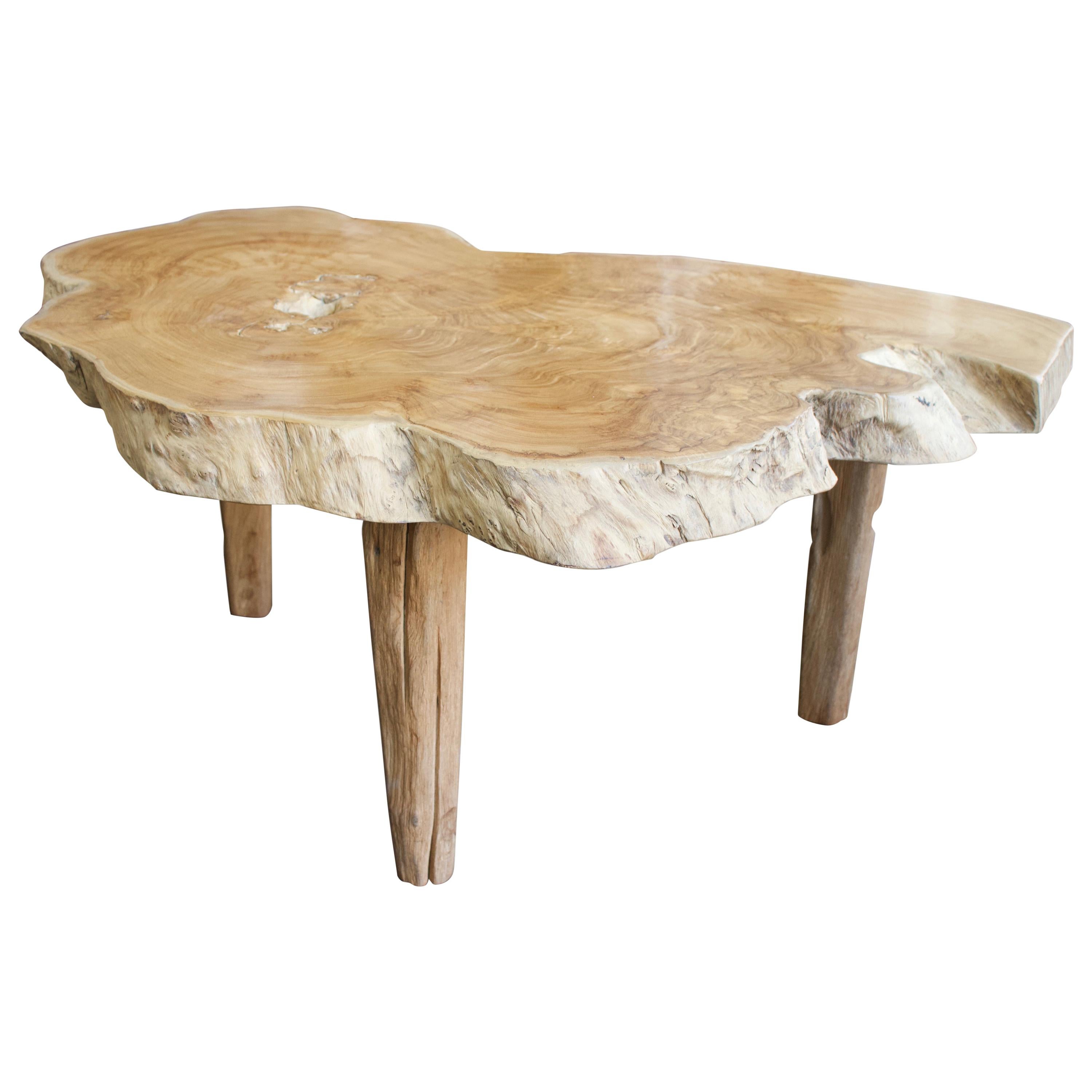 Andrianna Shamaris Single Slab Live Edge Coffee Table or Side Table