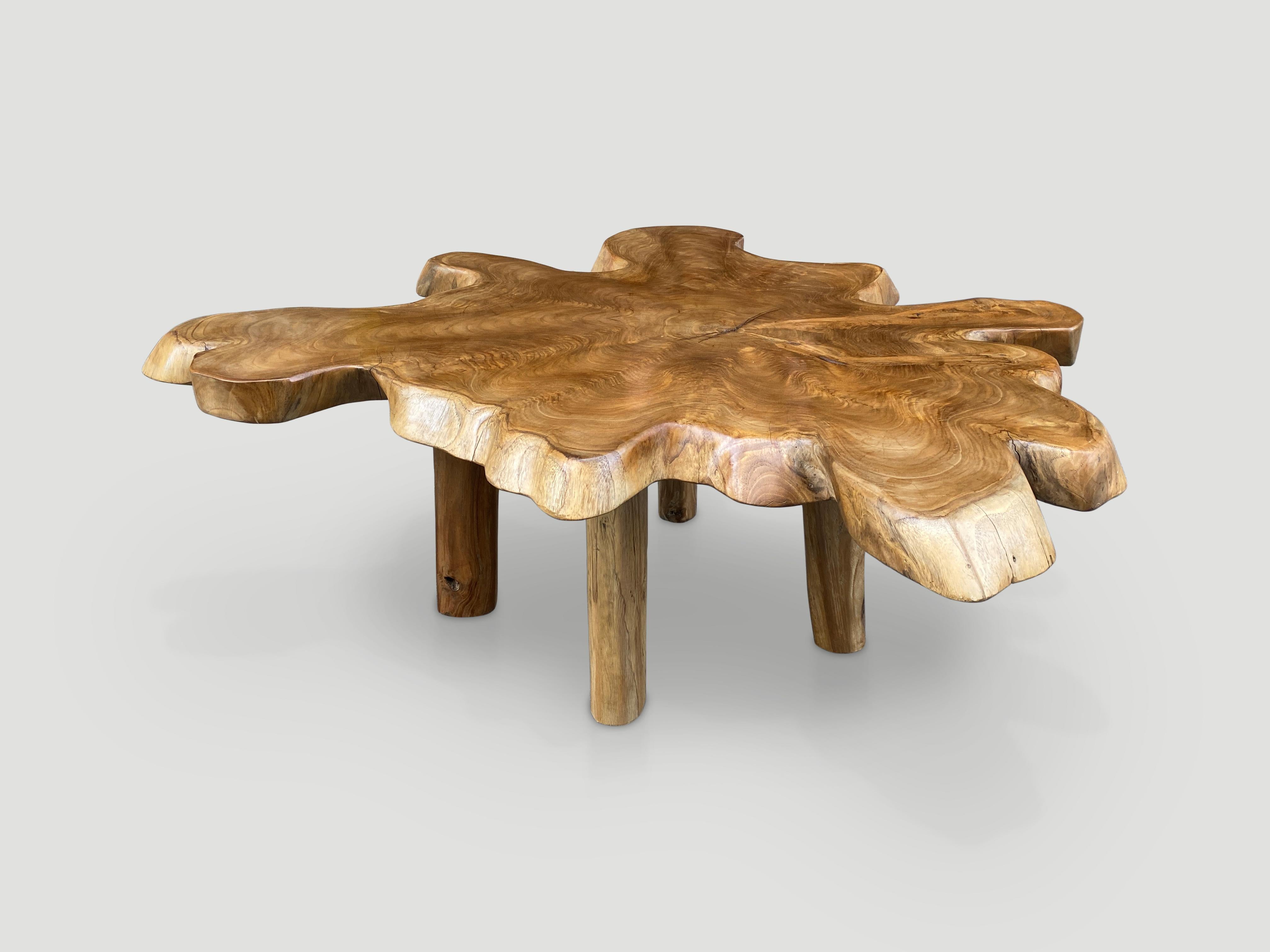 Single two and a half inch slab live edge teak coffee table. This beautiful shape is set on minimalist legs. Finished with a natural oil revealing the beautiful wood grain.

Own an Andrianna Shamaris original.

Andrianna Shamaris. The Leader In