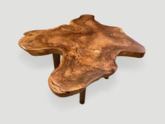 Andrianna Shamaris Single Slab Live Edge Teak Wood Coffee Table