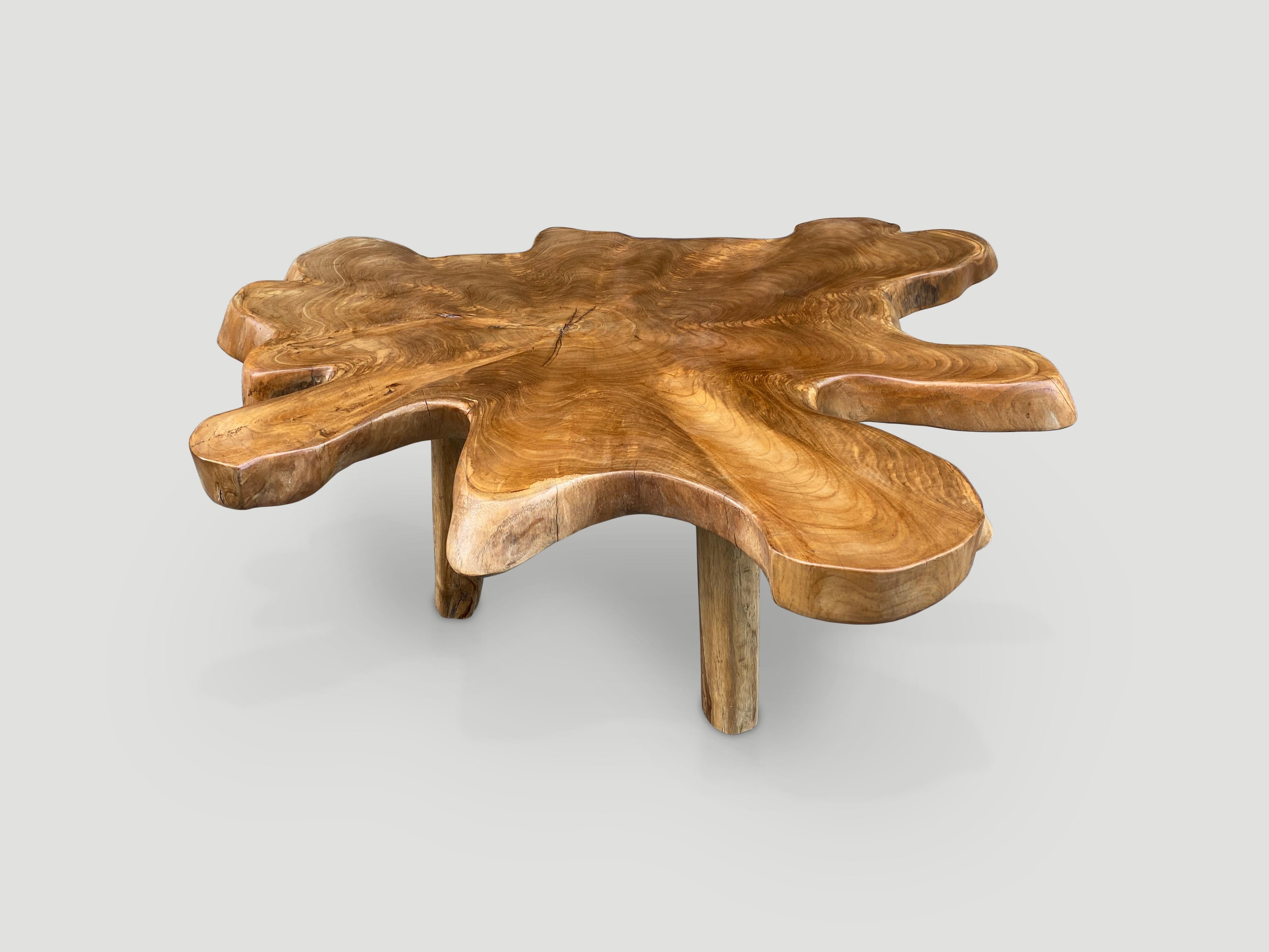 Organique Table basse Andrianna Shamaris en bois de teck à bord vif à simple dalle  en vente