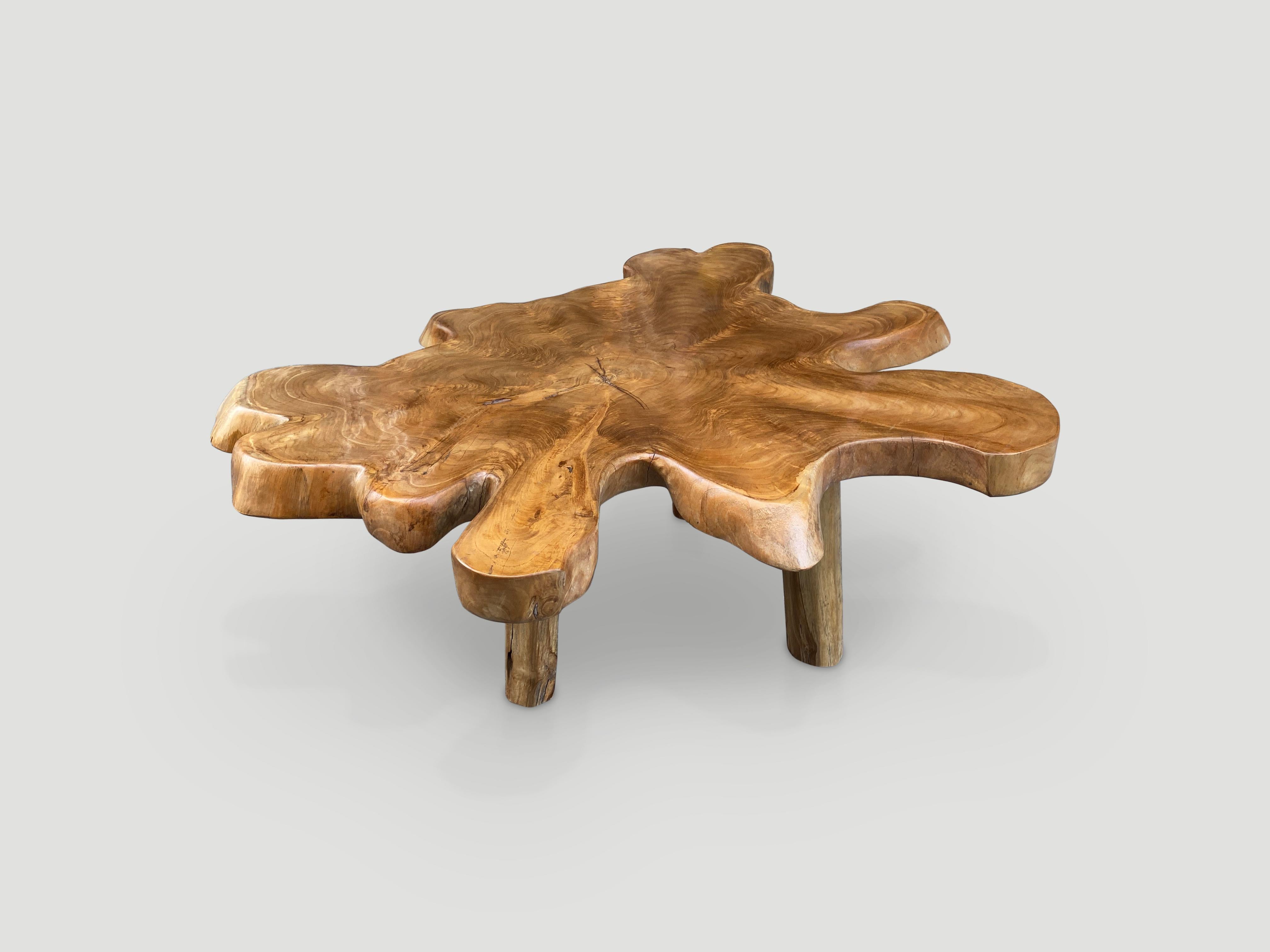 XXIe siècle et contemporain Table basse Andrianna Shamaris en bois de teck à bord vif à simple dalle  en vente