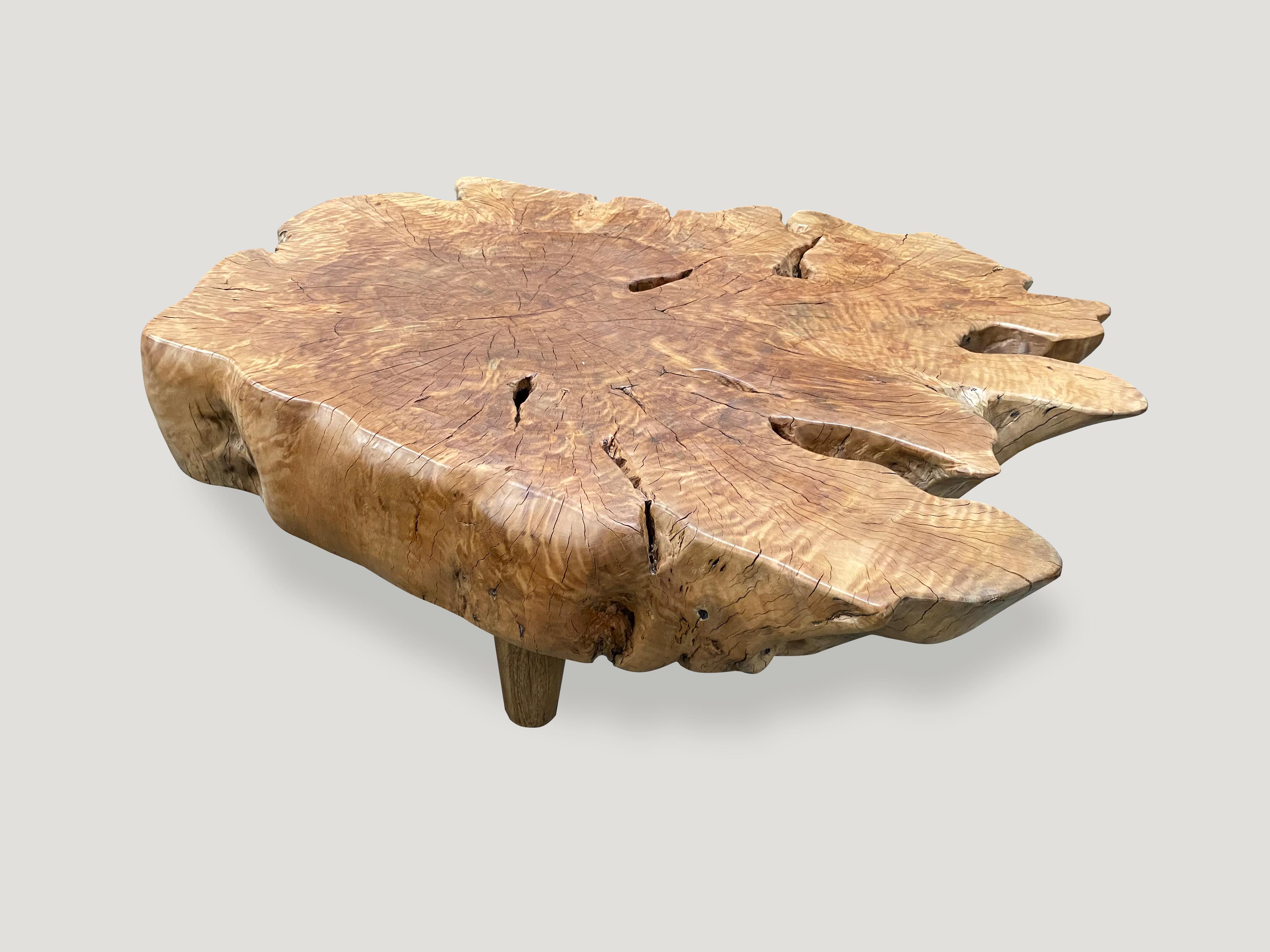 Impressive coffee table made from a six inch slab of reclaimed lychee wood with a natural oil finish. Floating on mid century style legs. Organic with a twist. 

Own an Andrianna Shamaris original.

Andrianna Shamaris. The Leader In Modern