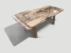 Andrianna Shamaris Single Slab Petrified Wood Coffee Table