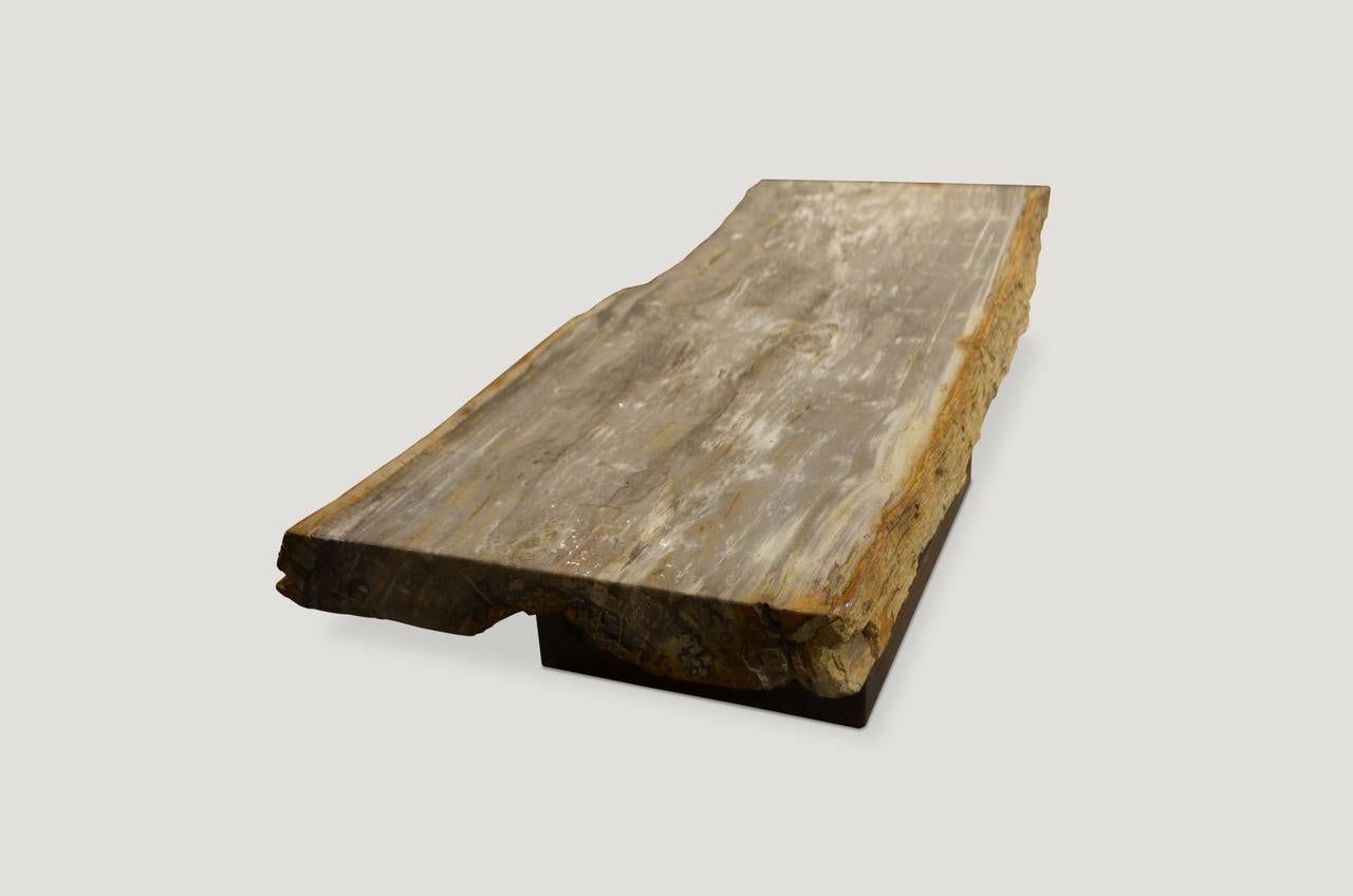 Organic Modern Andrianna Shamaris Single Slab Petrified Wood Coffee Table