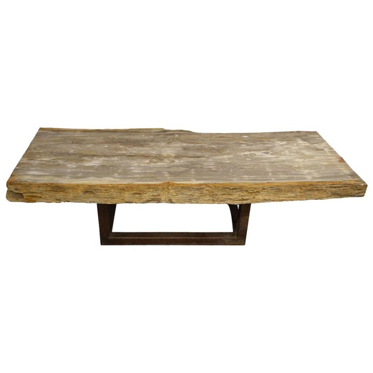 Petrified Wood Coffee Table For Sale andrianna shamaris single slab petrified wood coffee table for sale