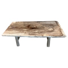 Andrianna Shamaris Single Slab Petrified Wood Coffee Table