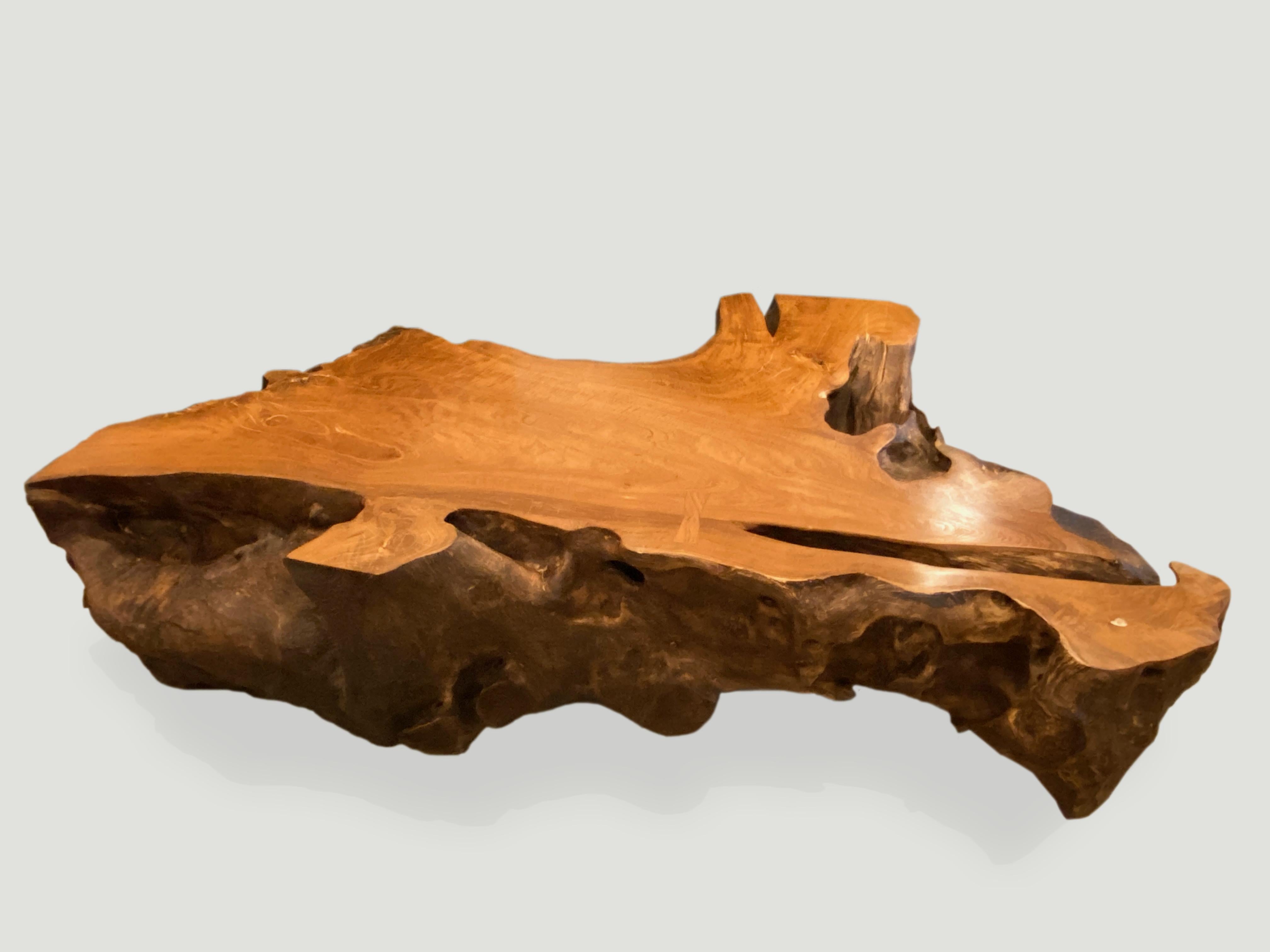 Organic Modern Andrianna Shamaris Single Teak Wood Root Coffee Table
