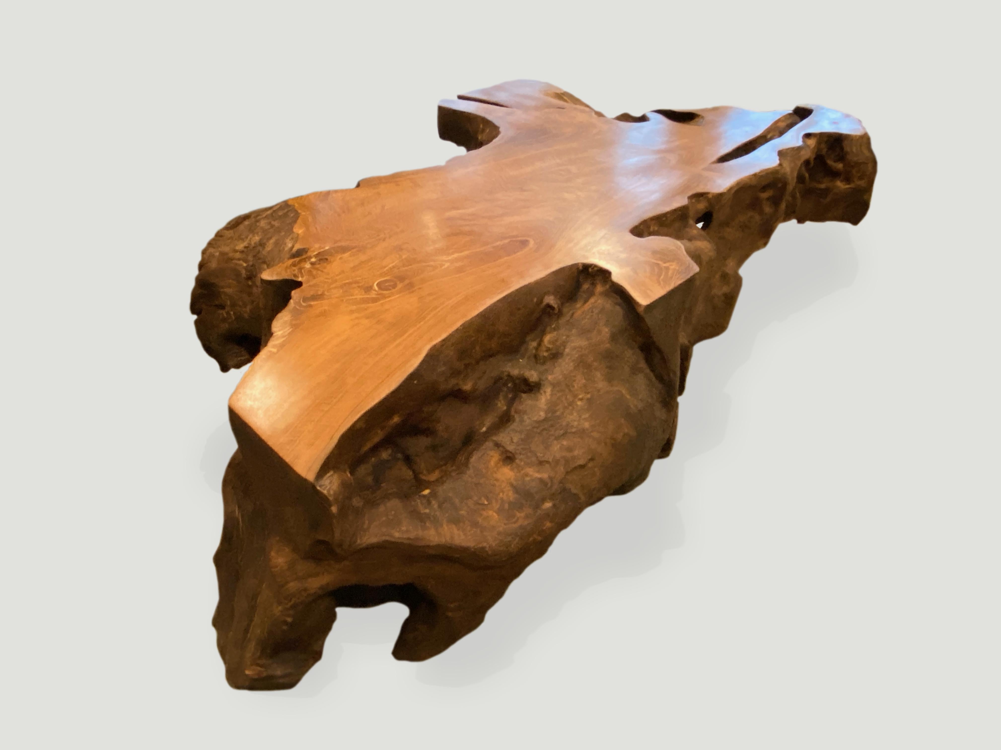 Contemporary Andrianna Shamaris Single Teak Wood Root Coffee Table