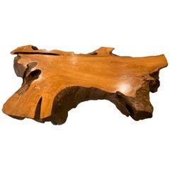 Andrianna Shamaris Single Teak Wood Root Coffee Table