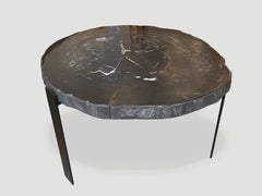 Andrianna Shamaris Slab Top High Quality Petrified Wood Side Table/Coffee Table
