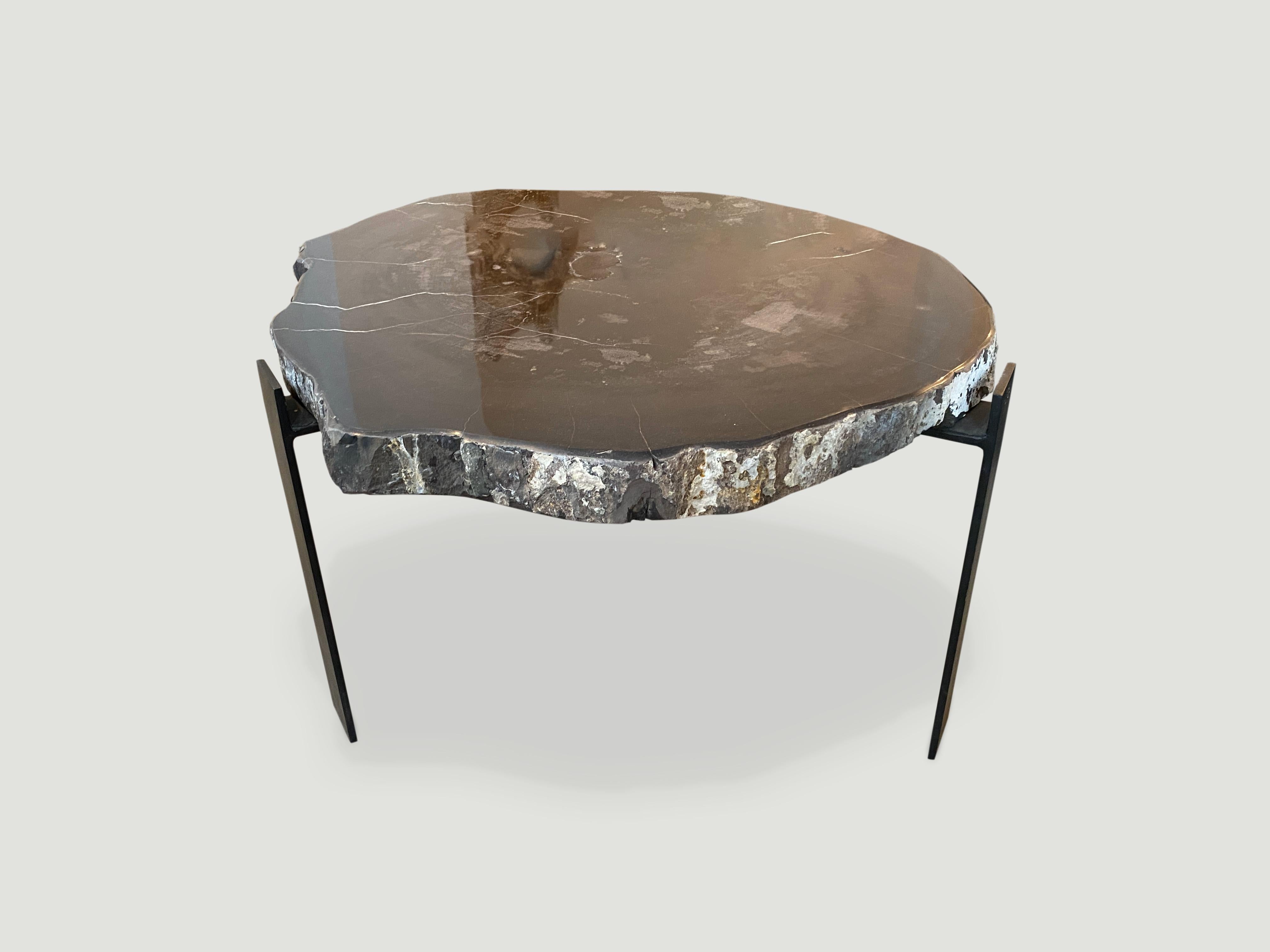 Organic Modern Andrianna Shamaris Slab Top High Quality Petrified Wood Side Table/Coffee Table