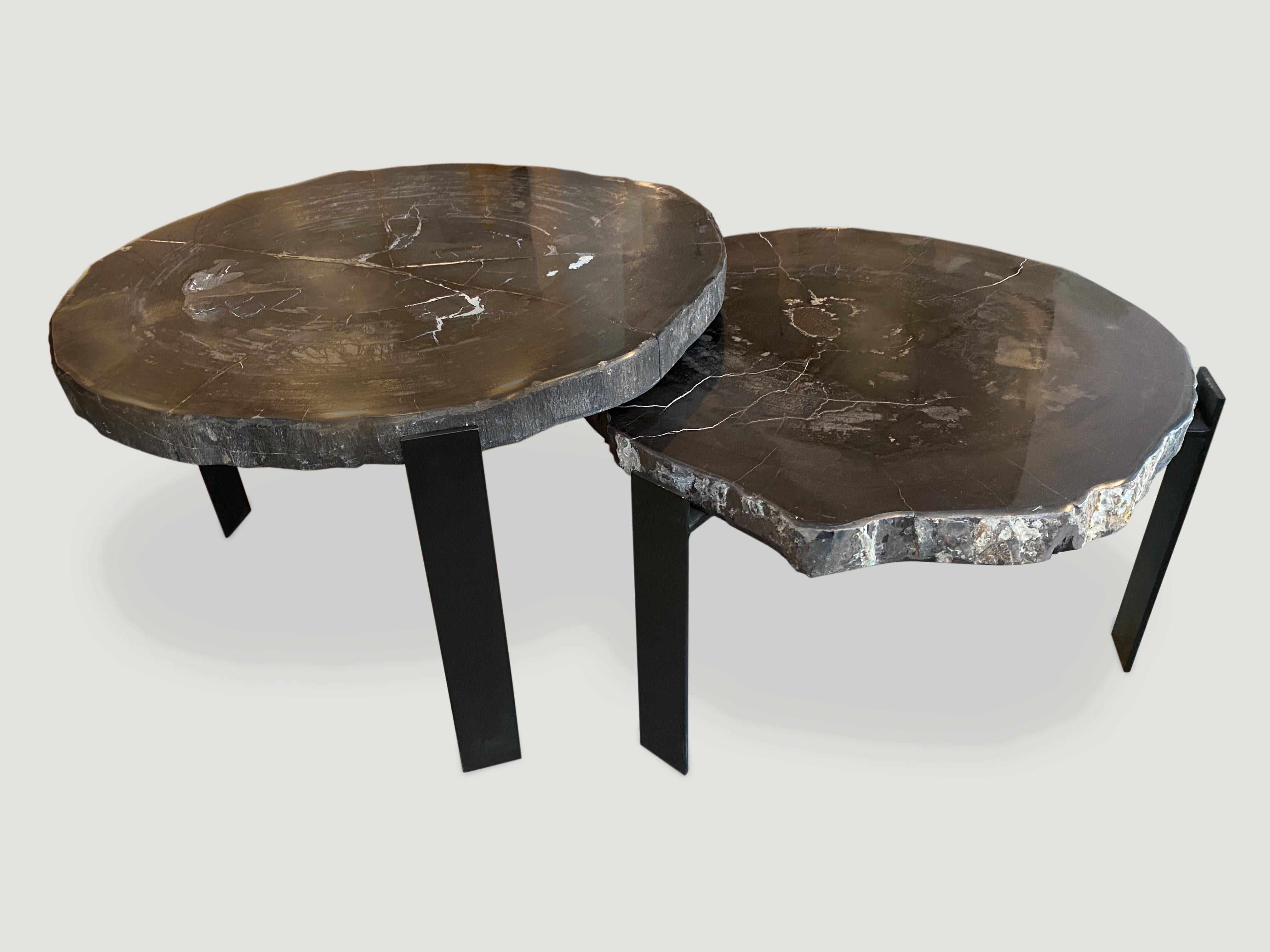 18th Century and Earlier Andrianna Shamaris Slab Top High Quality Petrified Wood Side Table/Coffee Table