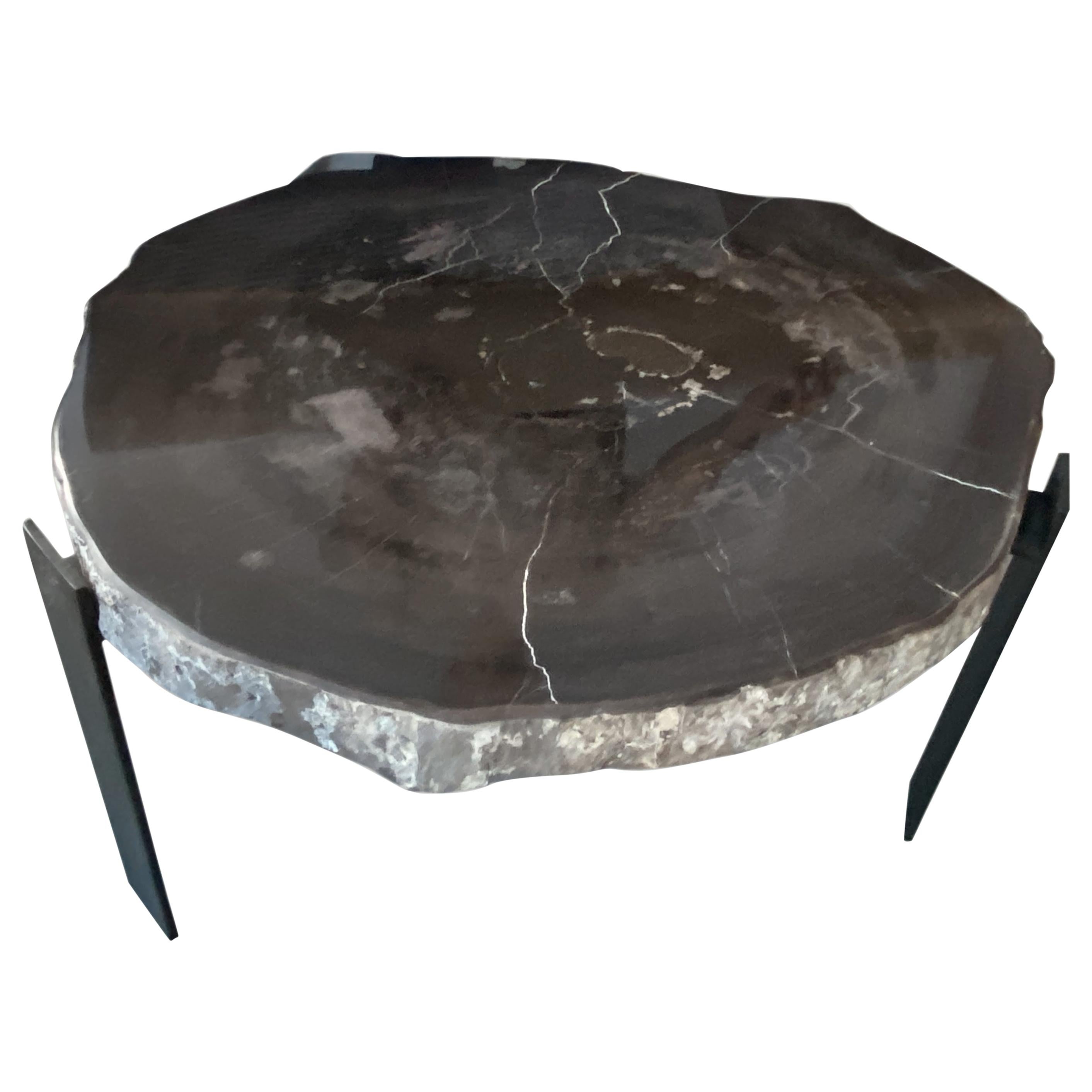 Andrianna Shamaris Slab Top High Quality Petrified Wood Side Table/Coffee Table