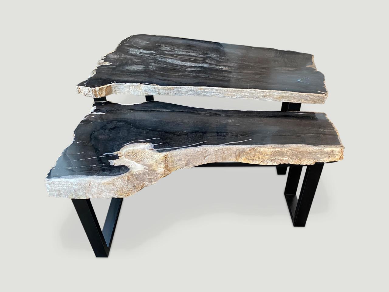 Contemporary Andrianna Shamaris Slab Top Petrified Wood Coffee Table