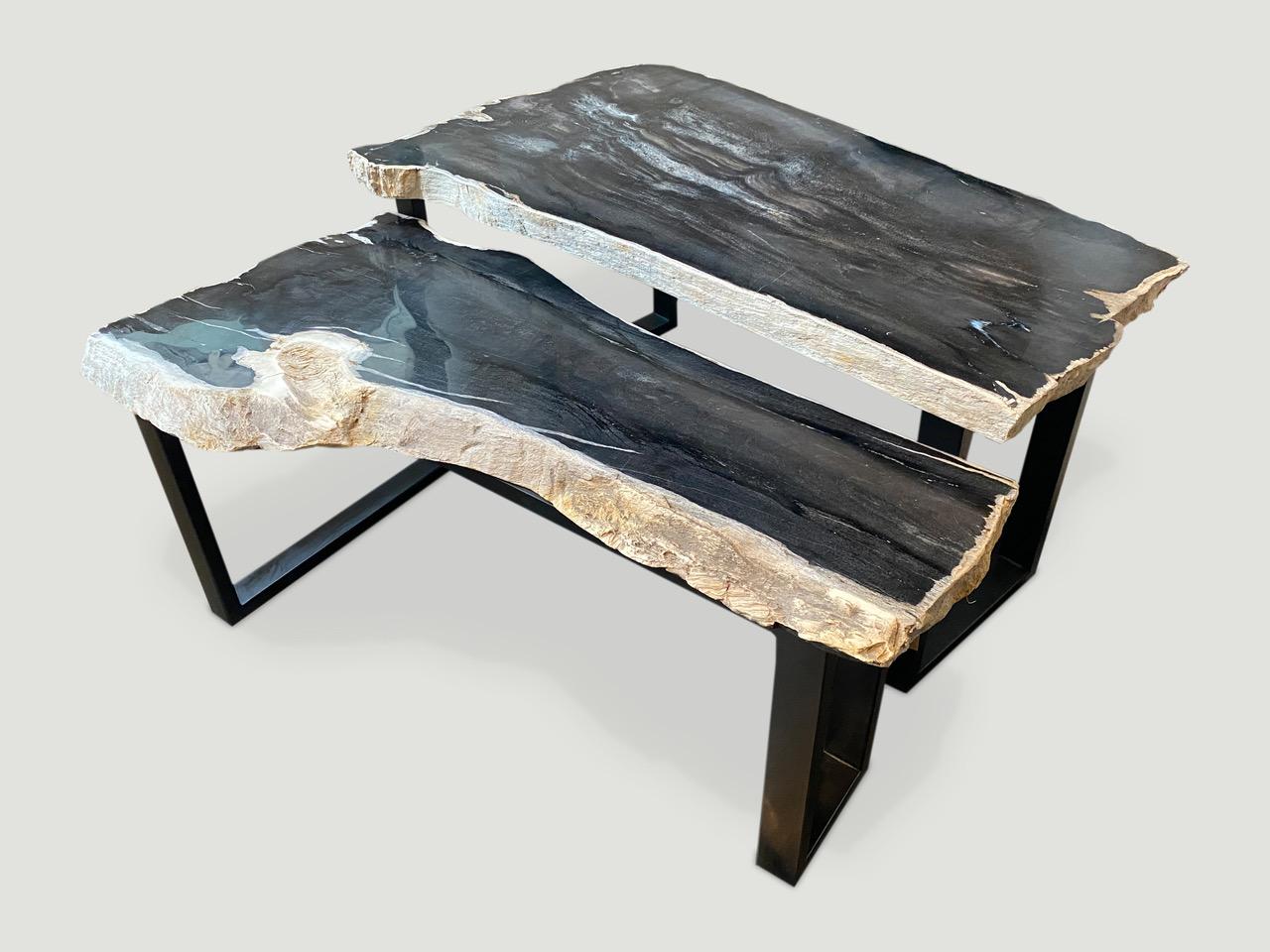 Metal Andrianna Shamaris Slab Top Petrified Wood Coffee Table