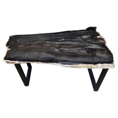 Table basse en bois pétrifié Andrianna Shamaris Slab Top