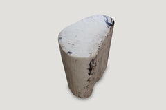 Andrianna Shamaris Soft Toned Rare High Quality Petrified Wood Side Table