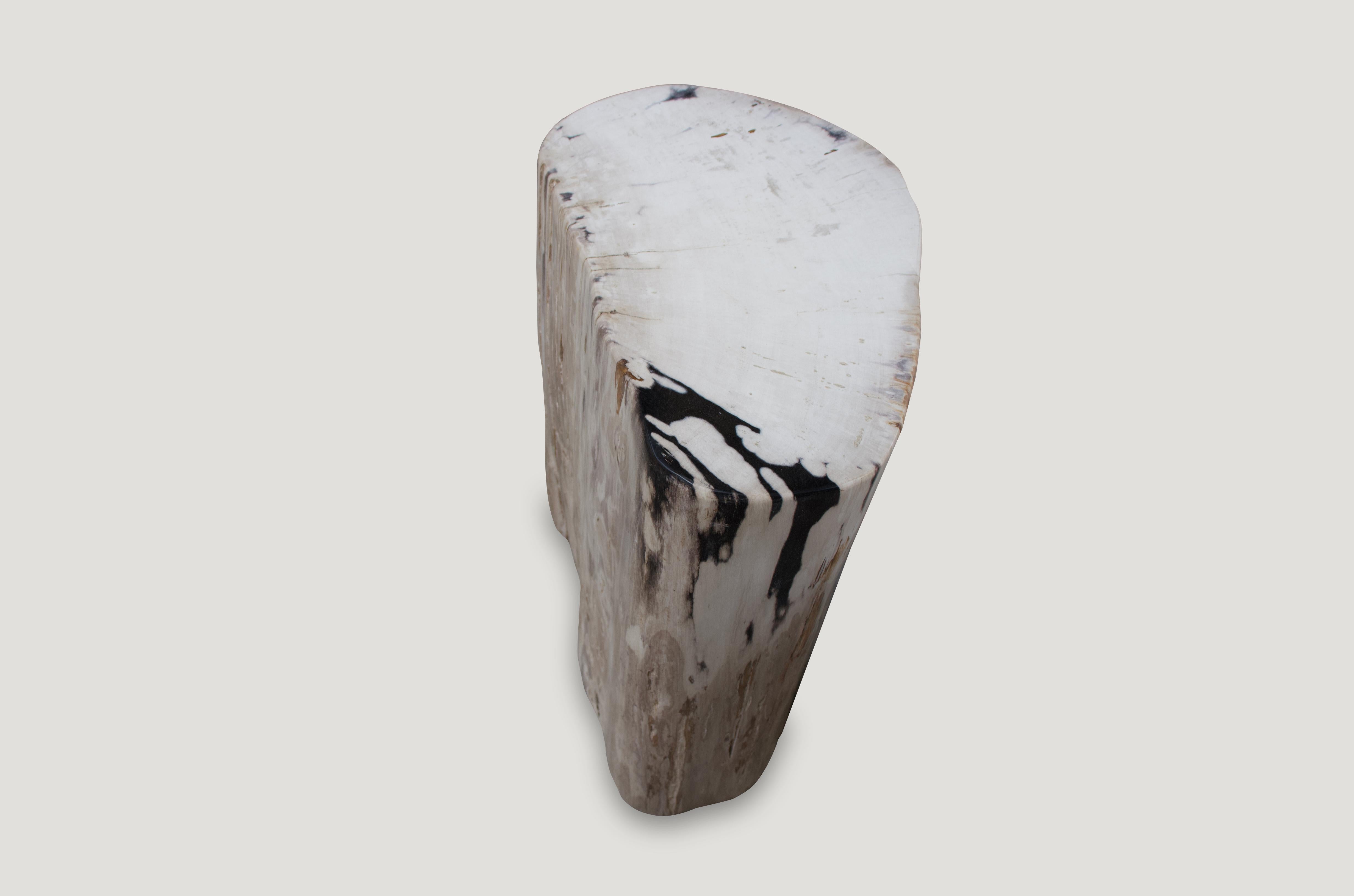 Andrianna Shamaris Soft Toned Rare High Quality Petrified Wood Side Table In Excellent Condition For Sale In New York, NY