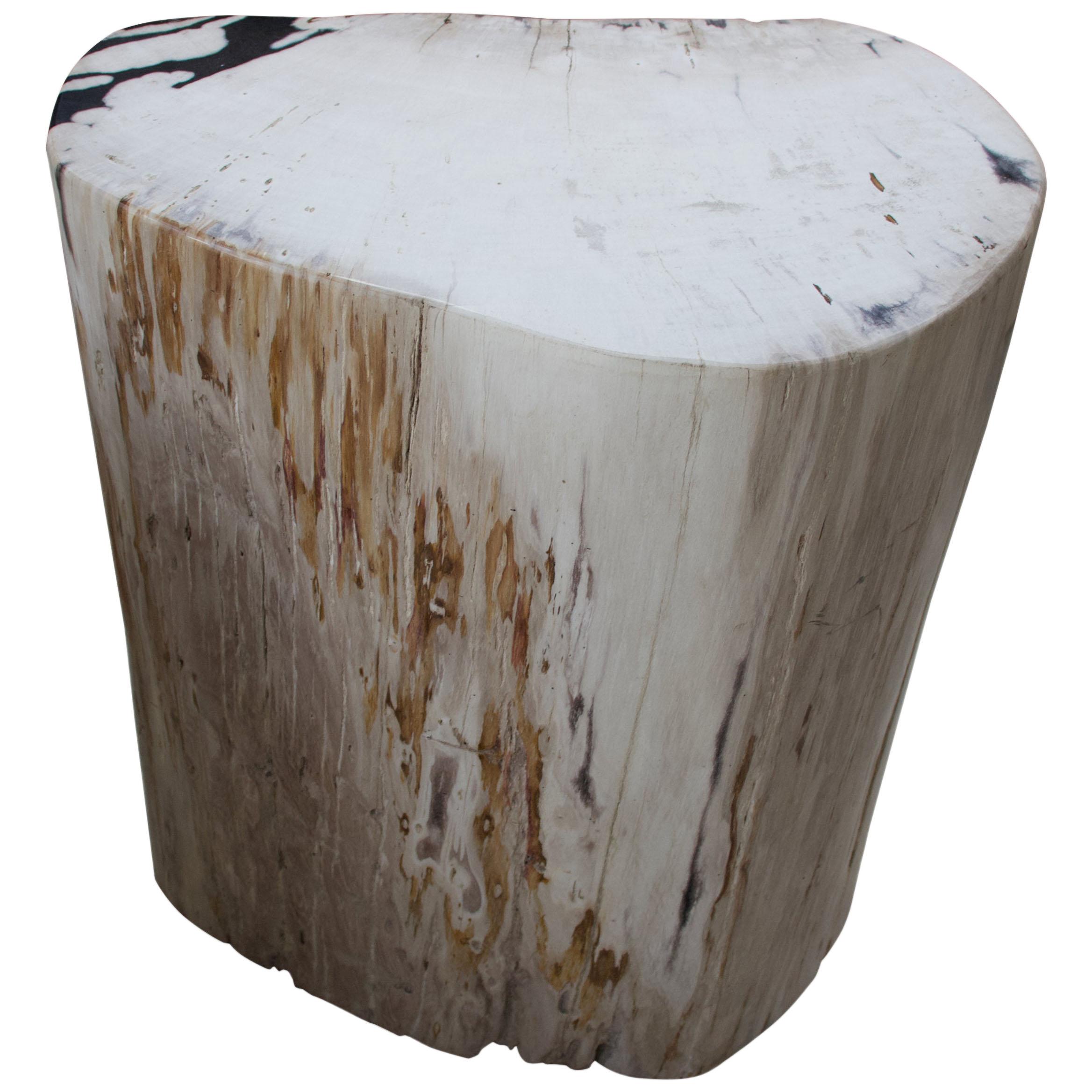 Andrianna Shamaris Soft Toned Rare High Quality Petrified Wood Side Table For Sale