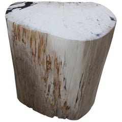 Antique Andrianna Shamaris Soft Toned Rare High Quality Petrified Wood Side Table