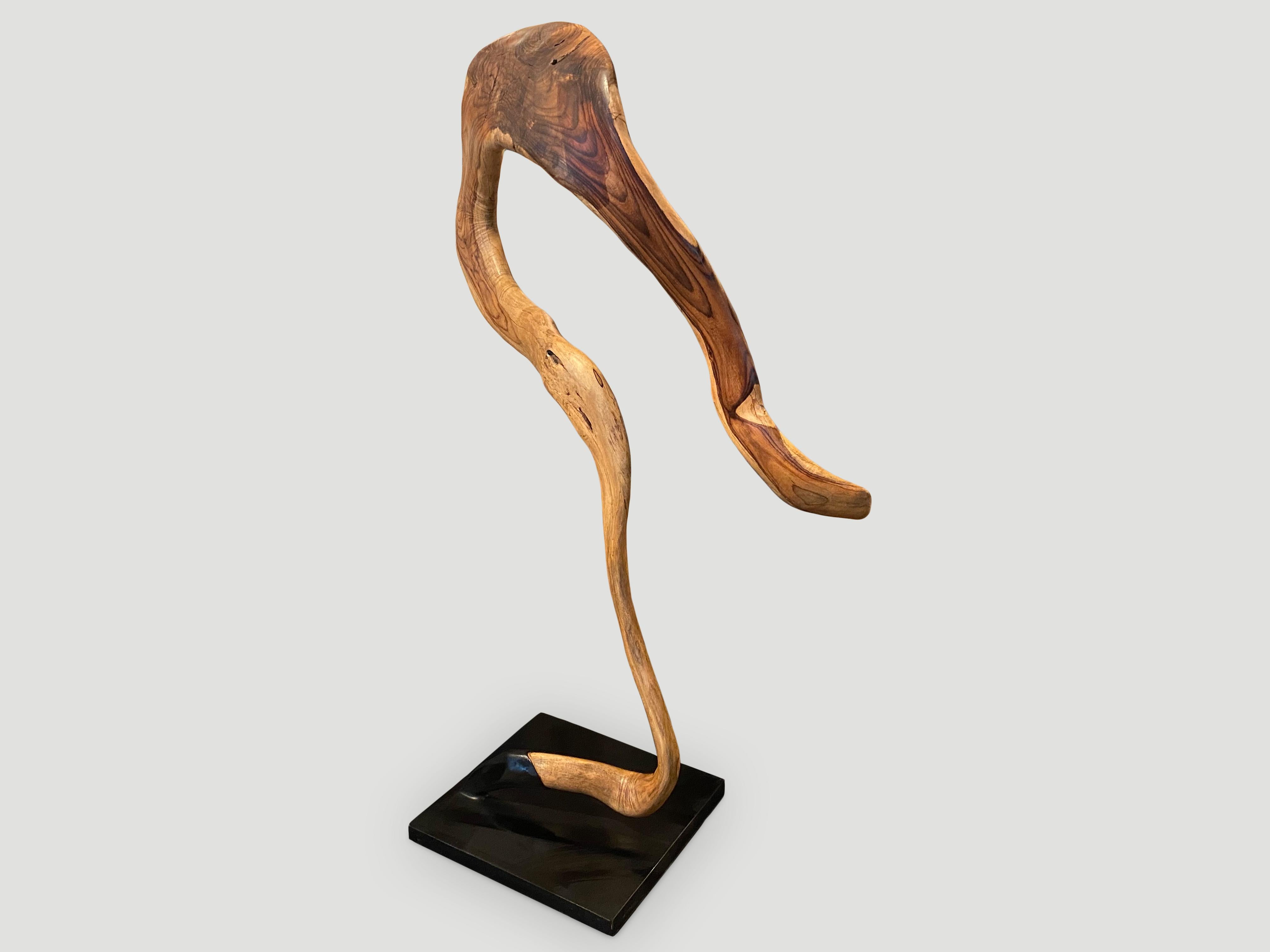Wunderschön geschnitzte Skulptur aus einem Stück wiedergewonnenem Sono-Holz, die einem Fragezeichen ähnelt. Mit einem natürlichen Öl behandelt, das die schöne Maserung des Holzes zum Vorschein bringt. Auf einem modernen schwarzen Stahlsockel von 16