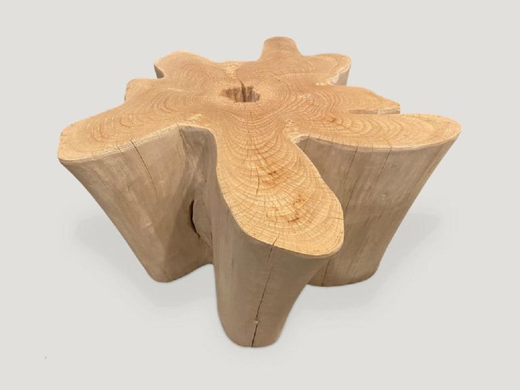 Organic Modern Andrianna Shamaris St. Barts Bleached Teak Wood Coffee Table For Sale