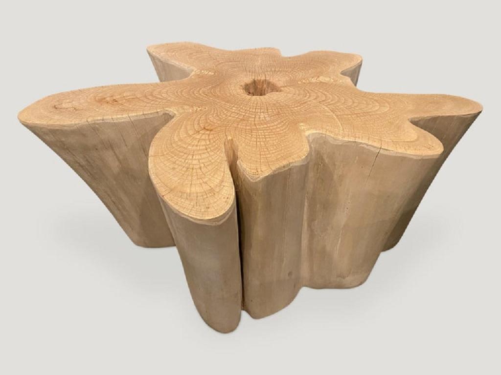 Andrianna Shamaris St. Barts Bleached Teak Wood Coffee Table In Excellent Condition For Sale In New York, NY