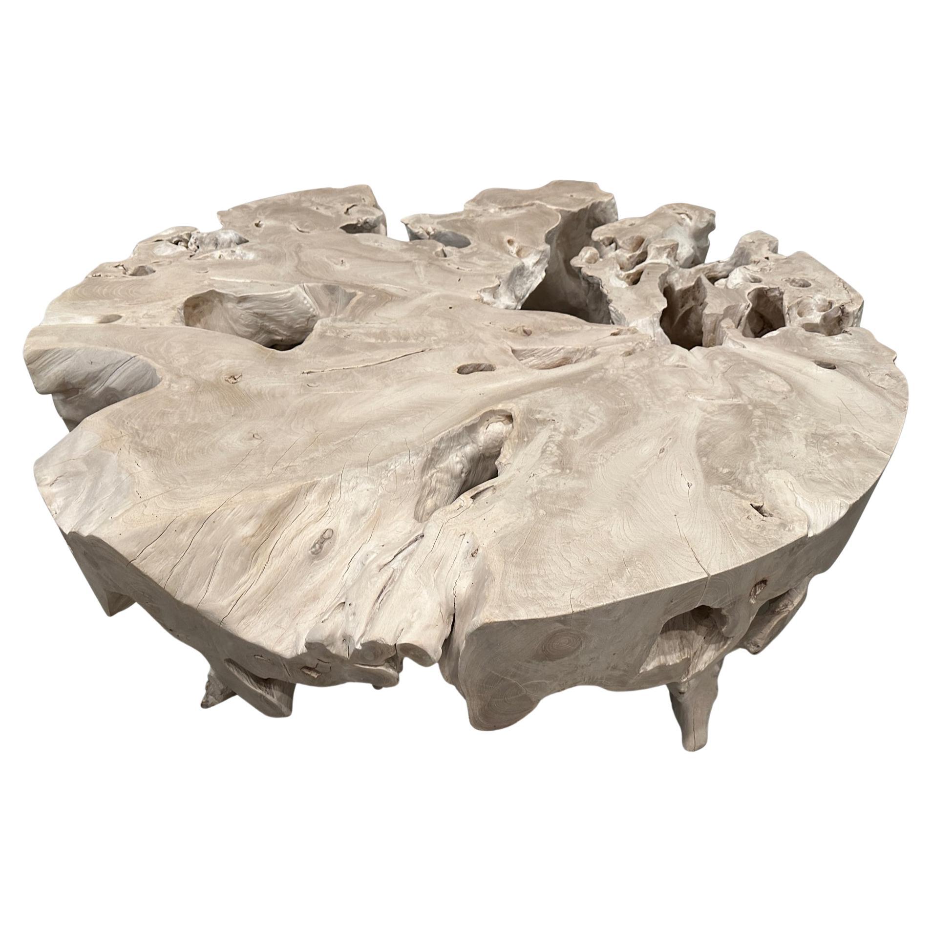 Andrianna Shamaris St. Barts Round Bleached Teak Wood Coffee Table  For Sale