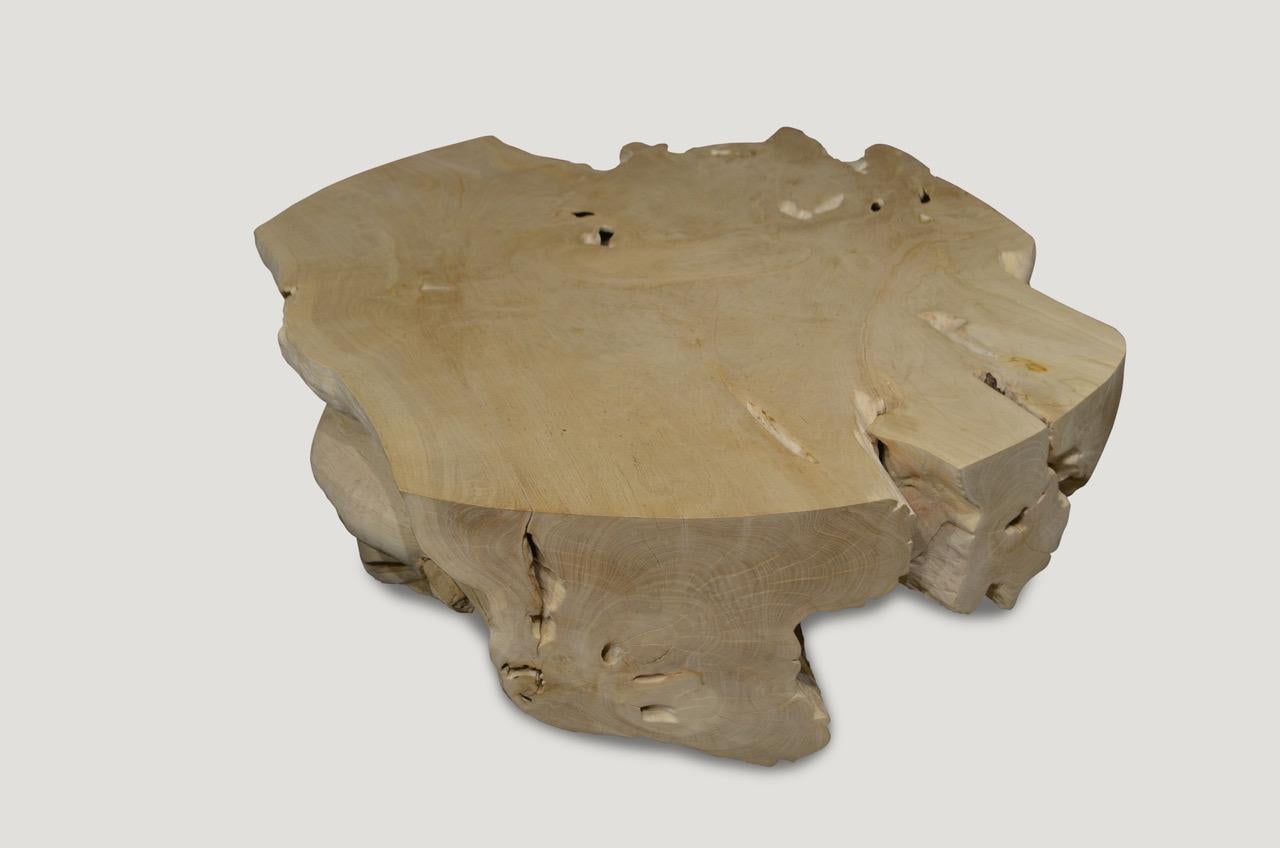 Impressive, single root teak wood coffee table with large flat surface area. The reclaimed teak is bleached and left to bake in the sun and sea salt air for over a year to achieve this unique finish. We have added a light shellack to the top and