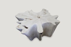 Andrianna Shamaris St. Barts Teak Wood Coffee Table