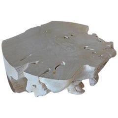 Andrianna Shamaris St. Barts Teak Wood Coffee Table