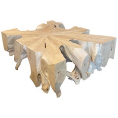 Andrianna Shamaris St. Barts Teak Wood Coffee Table