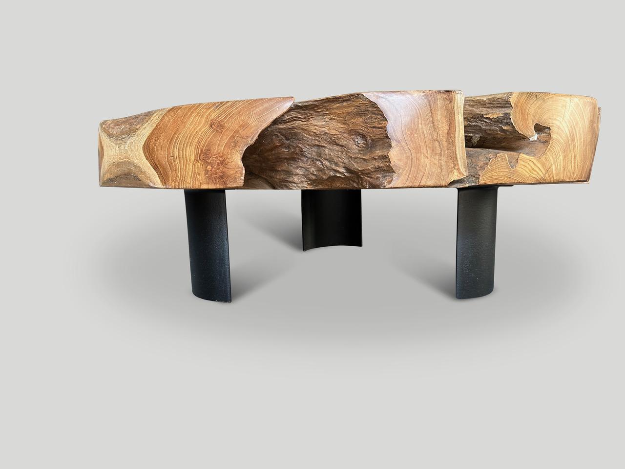 Table basse en teck recyclé. Sculpté à la main dans cette belle forme utilisable tout en respectant le bois organique naturel. Cet impressionnant plateau de cinq pouces d'épaisseur flotte sur trois pieds minimalistes en acier. Nous avons poli le