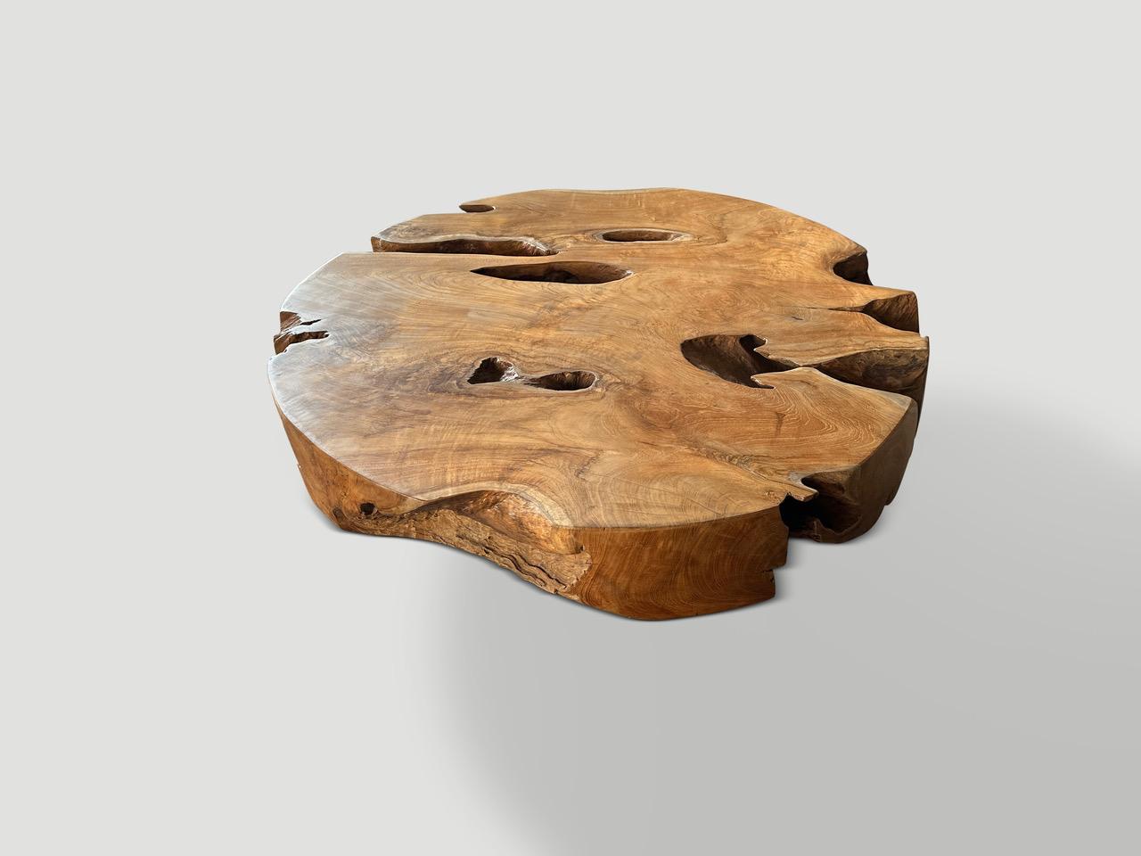 Contemporary Andrianna Shamaris Steel and Teak Wood Round Coffee Table For Sale